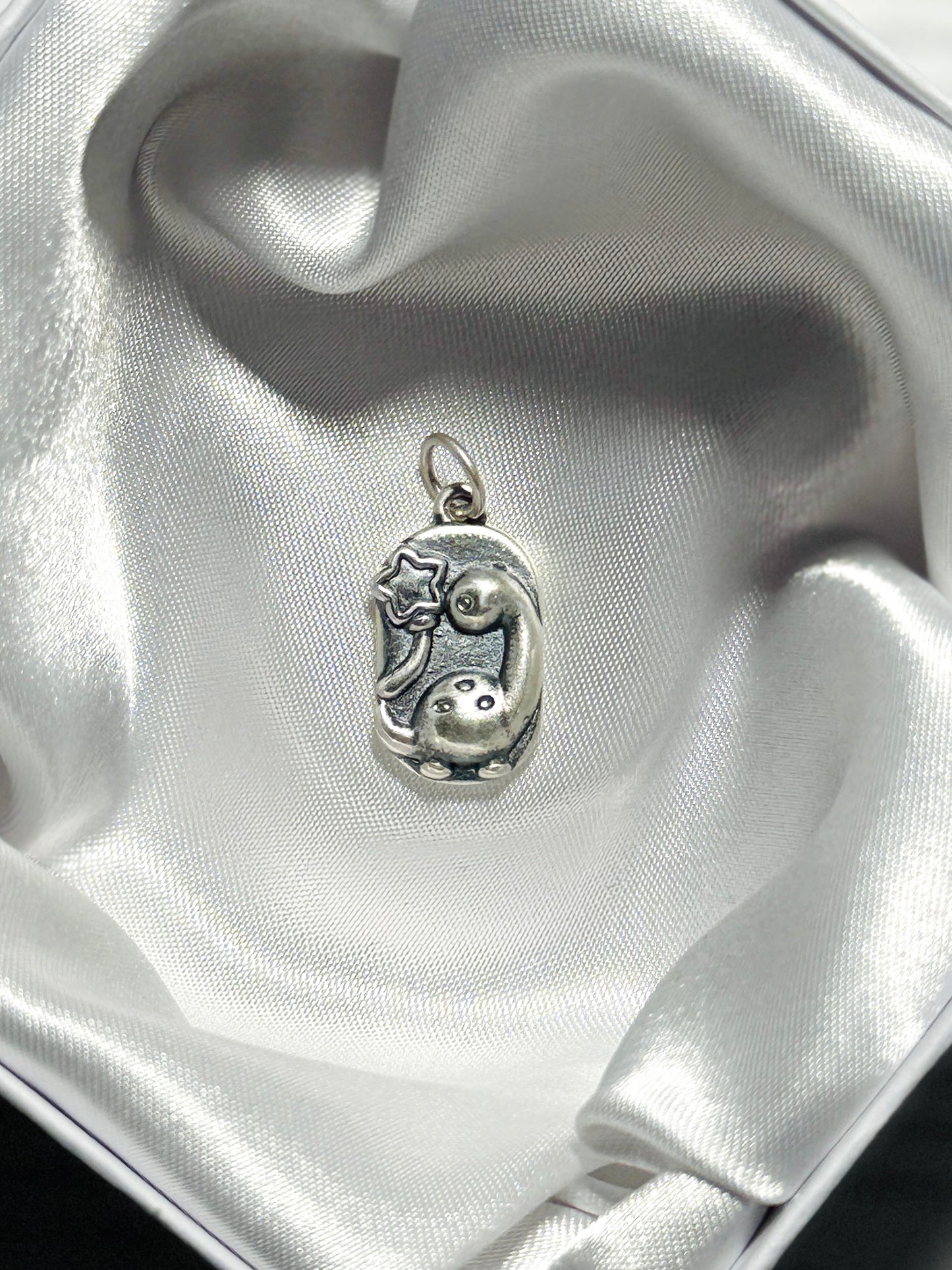 Charm Tierno Dinosaurio