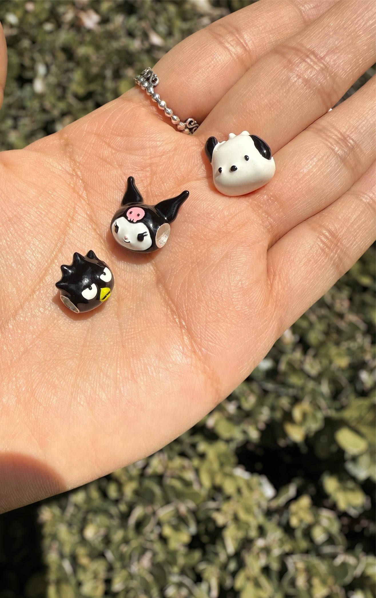 Charm Pochacco