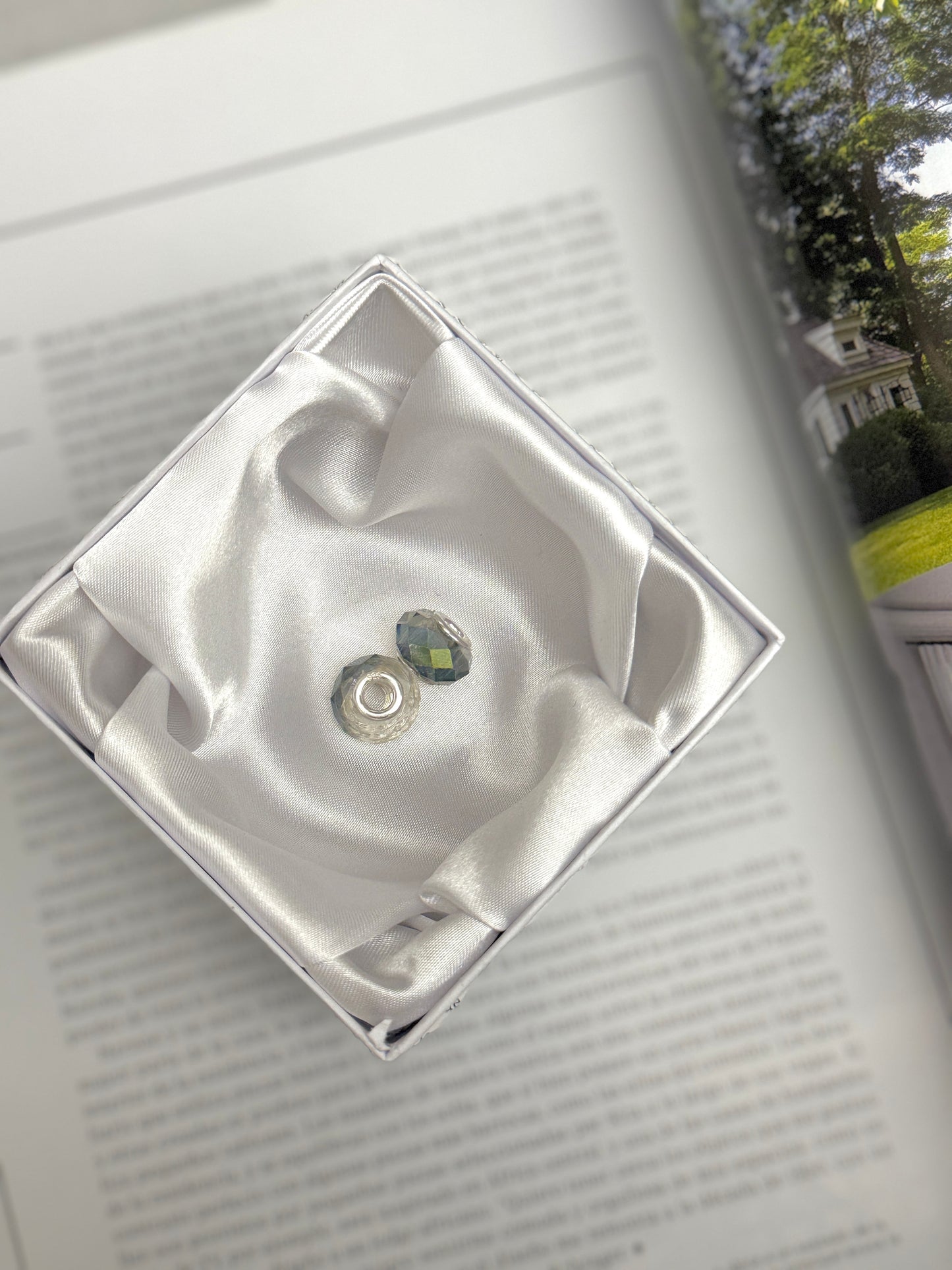 Par Charms Gris y Verde tornasol
