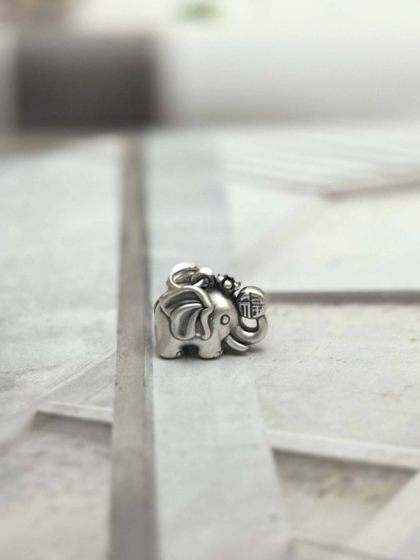 Charm Elefante de la abundancia