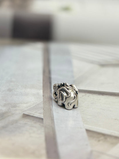 Charm Elefante de la abundancia