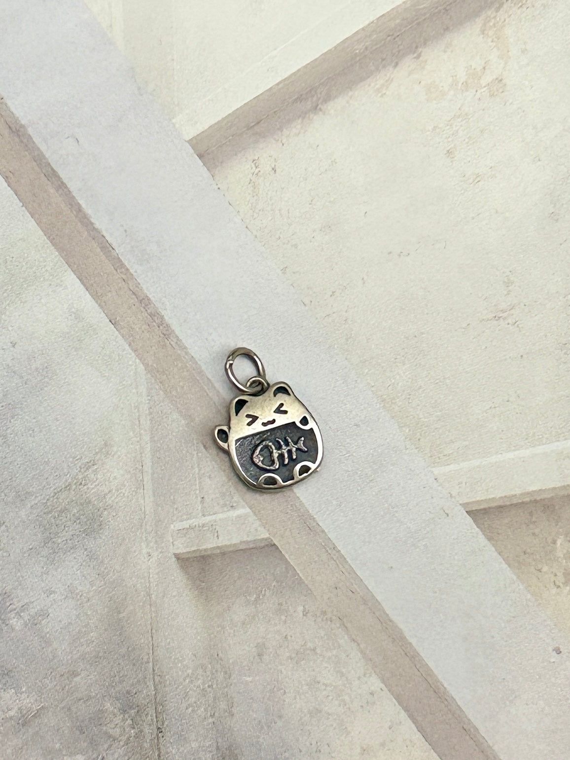 Charm Gato con huesito de Pez